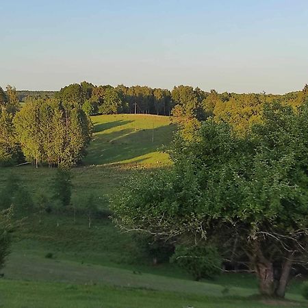 Jablkowo-Na Skraju Puszczy Boreckiej Sniadania W Cenie Яблоново Екстер'єр фото