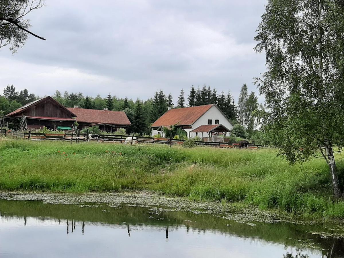 Jablkowo-Na Skraju Puszczy Boreckiej Sniadania W Cenie Яблоново Екстер'єр фото