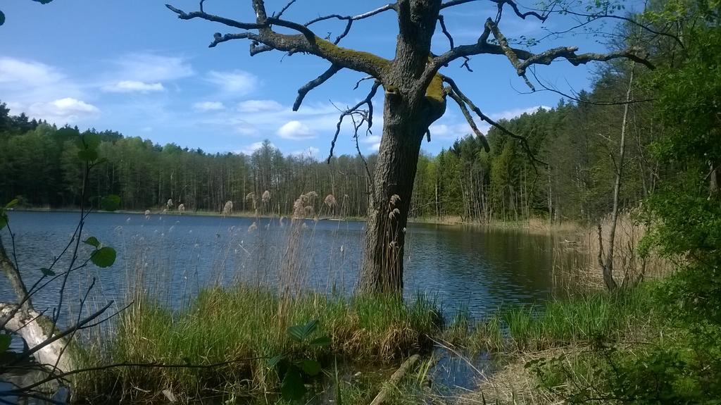 Jablkowo-Na Skraju Puszczy Boreckiej Sniadania W Cenie Яблоново Екстер'єр фото